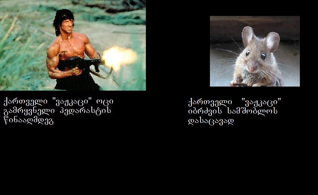 asjj.jpg