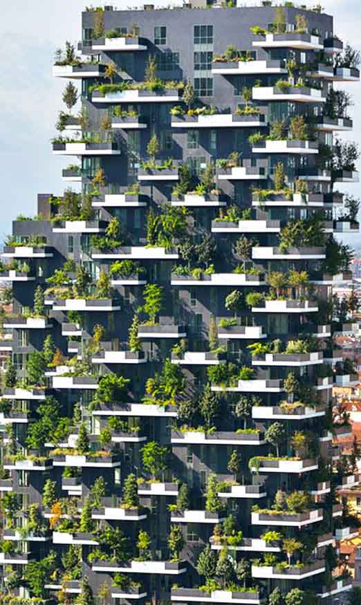 4_bosco_verticale_lede.jpg