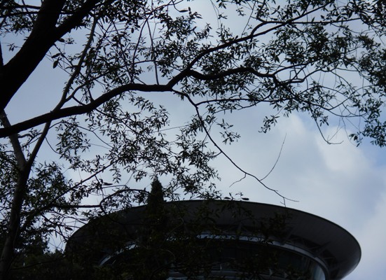 DSCN2747.JPG