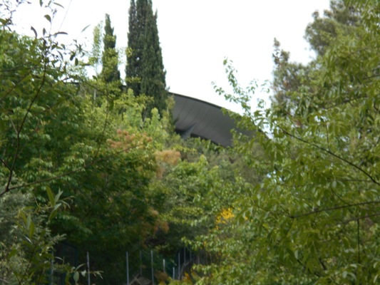 DSCN2754.JPG