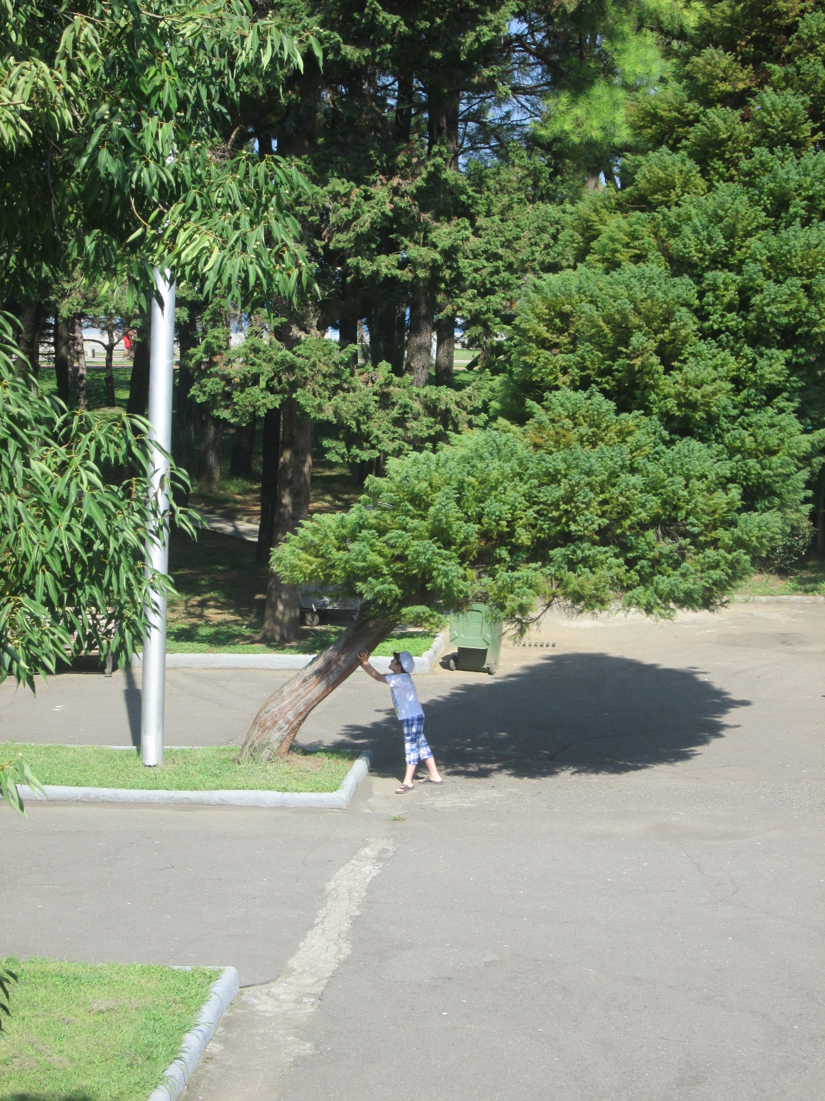 IMG_0219.JPG