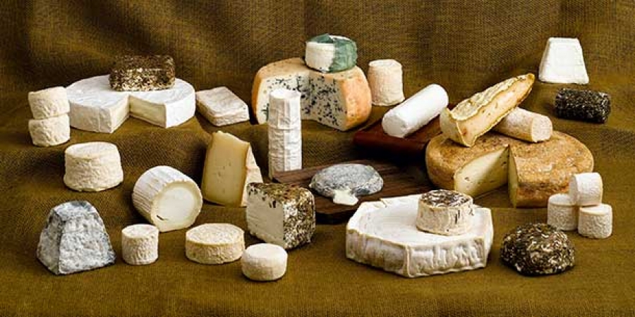 cheese.jpg