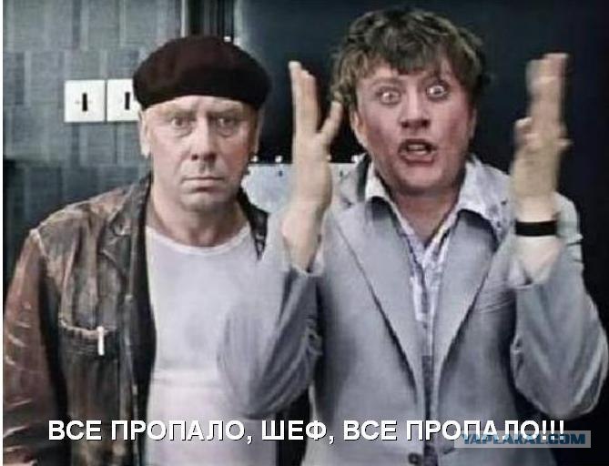 use_propalo_800.jpg
