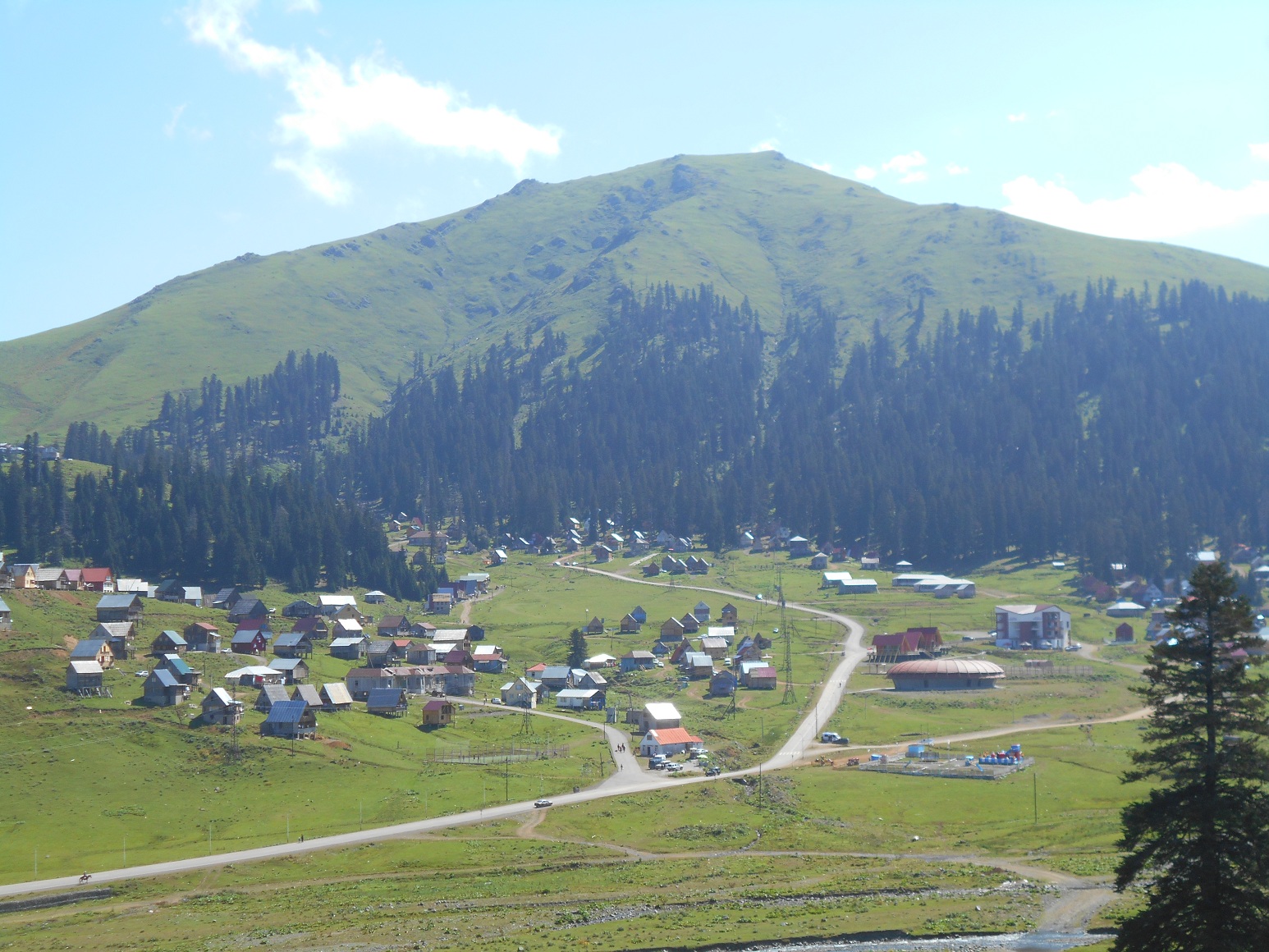 DSCN0314.JPG