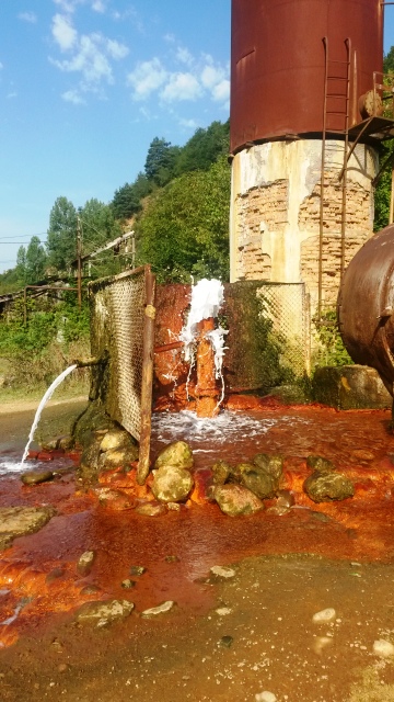 20160811_092552.jpg
