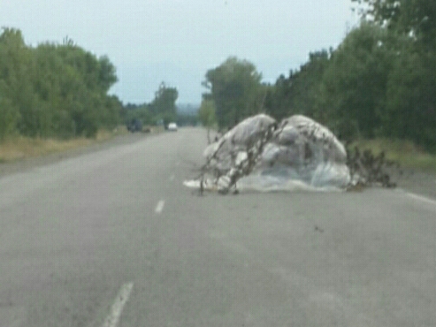 20160817_200730.jpg