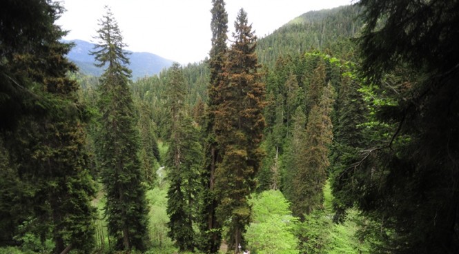 melodere_tabiat_aniti2_665x368.jpg