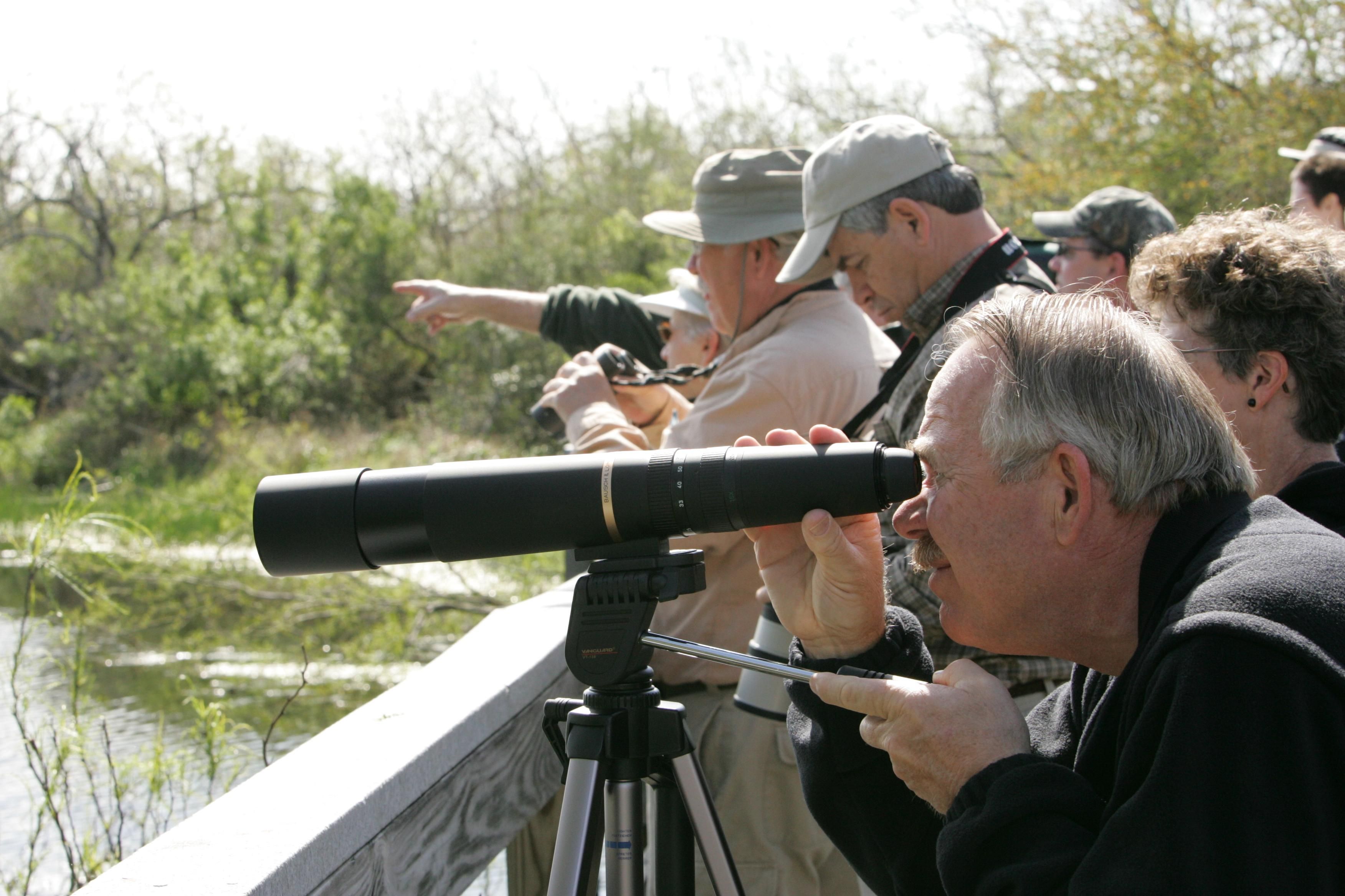 people_birdwatching_on_the_beach.jpg