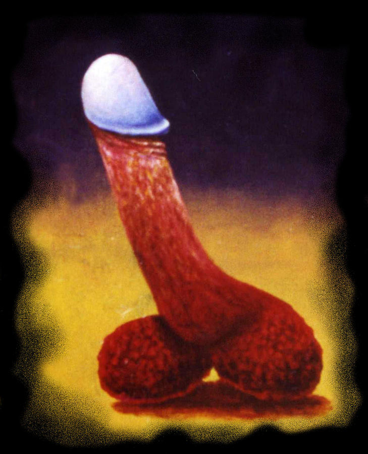 love_dick_genio_ggxpress.jpg