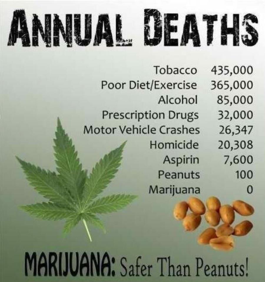 Marijuana_Safer_Than_Peanuts_infographic_weedist.jpg