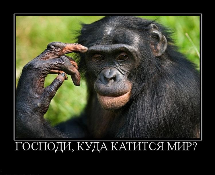 419094_gospodi_kuda_katitsya_mir.jpg