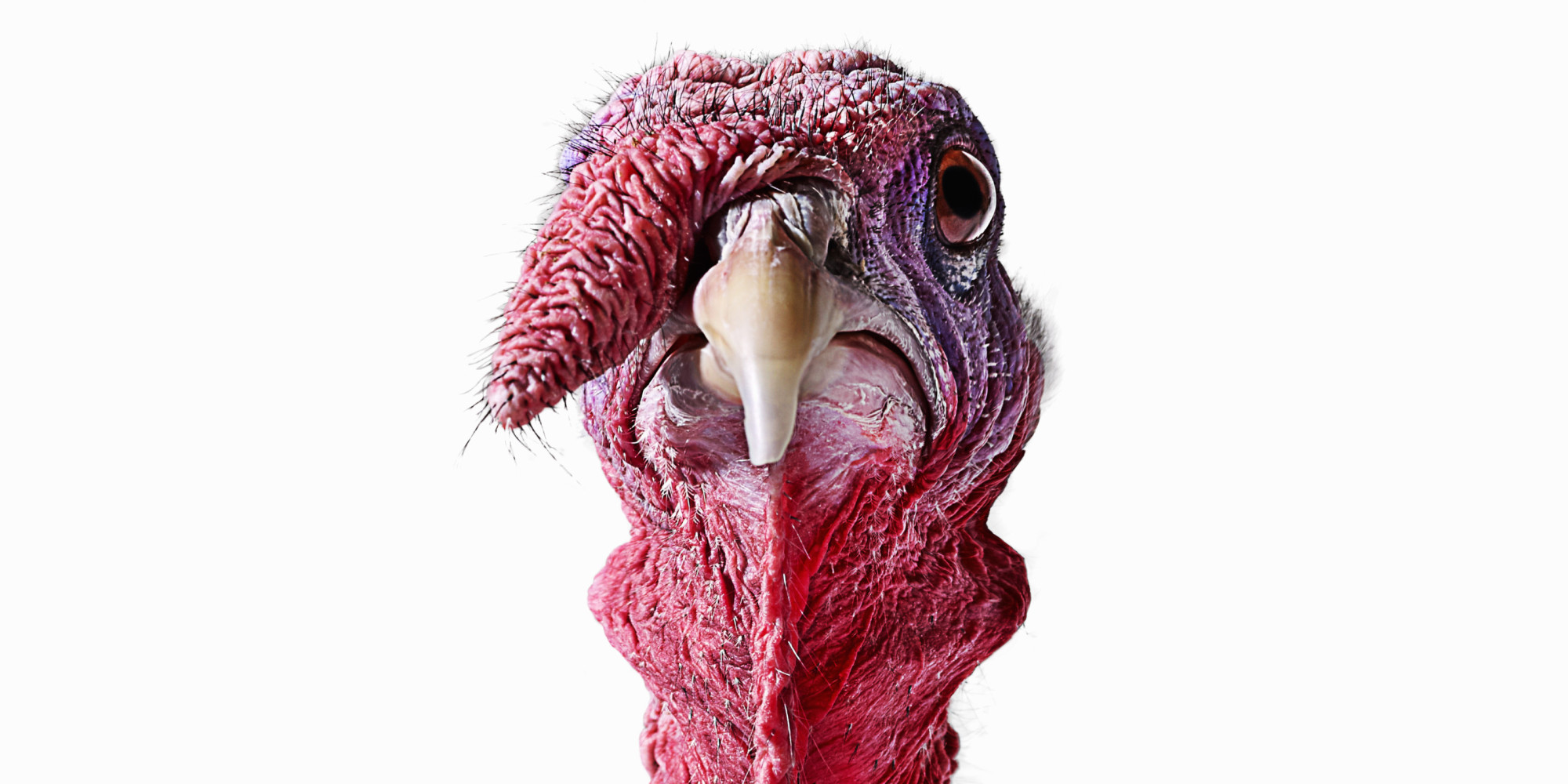 o_TURKEY_facebook.jpg