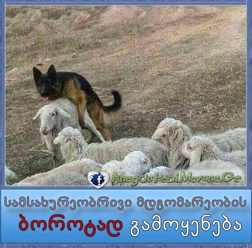 FB_IMG_1476797796237.jpg
