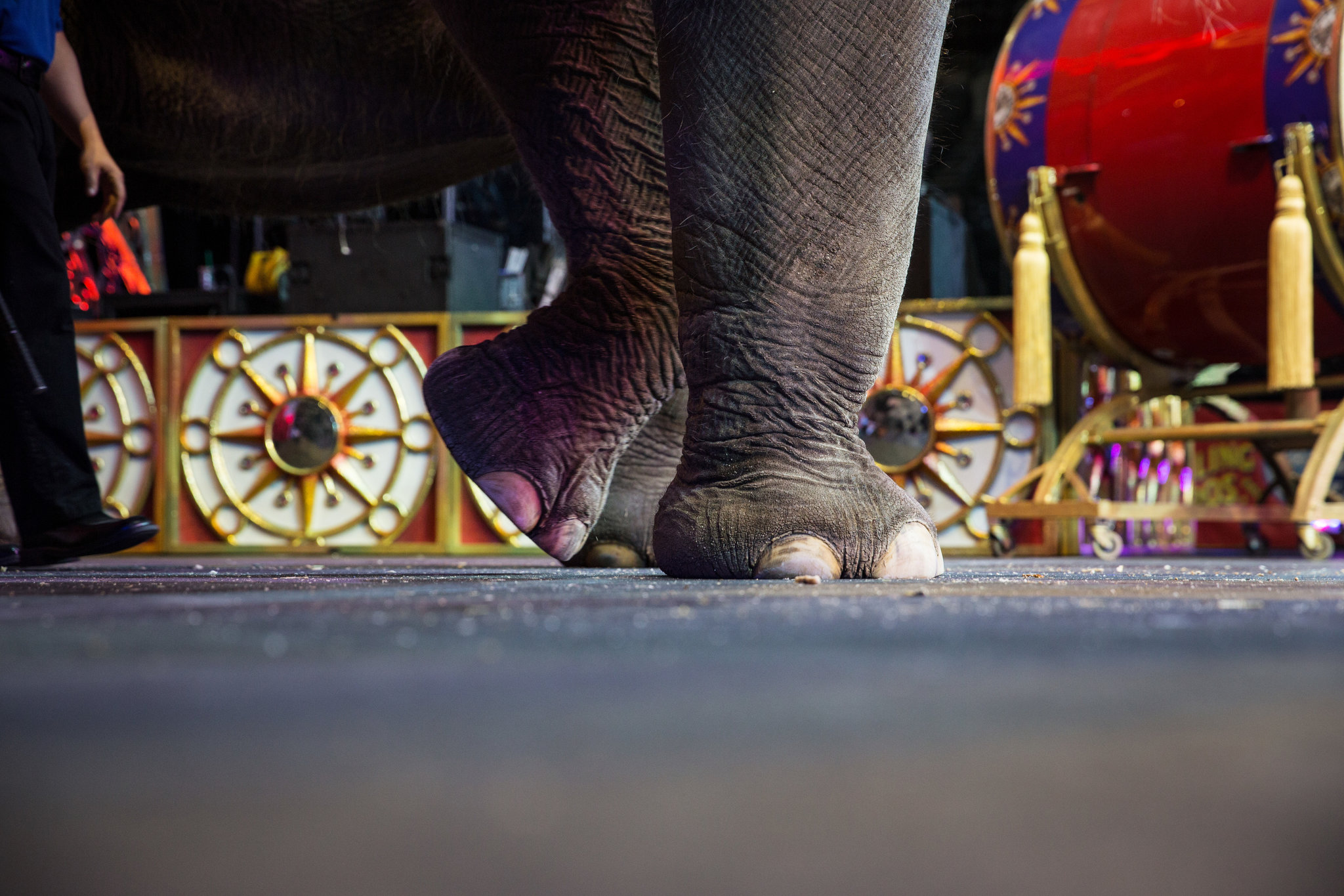 YIP2016_February_slide_2A6K_superJumbo.jpg