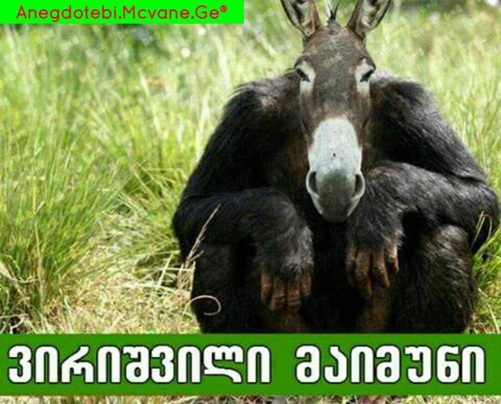 FB_IMG_1487098516313.jpg