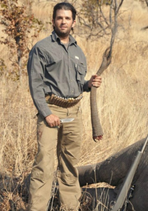 trump_jr_elephant_tail1.jpg