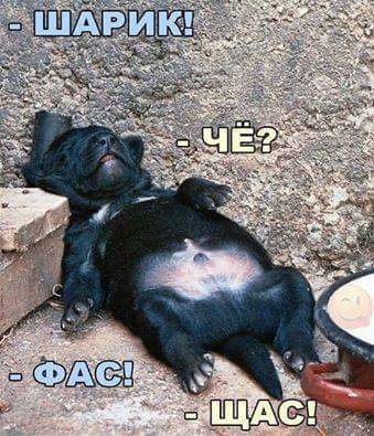 FB_IMG_1467469832226.jpg