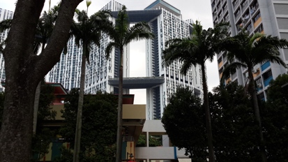 20150406_075314.jpg