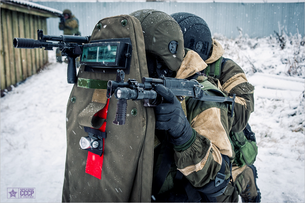mvd_entry_gun_2.jpg