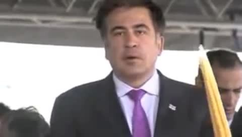 2645821.jpg