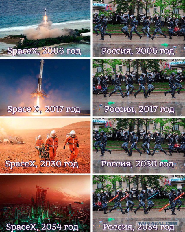 10747290.jpg