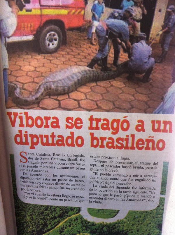 deputato_braziliero.jpg