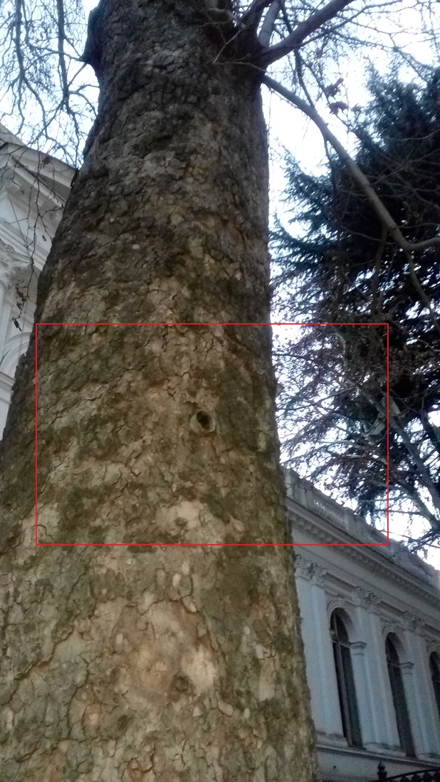 post_29_1519213537.jpg