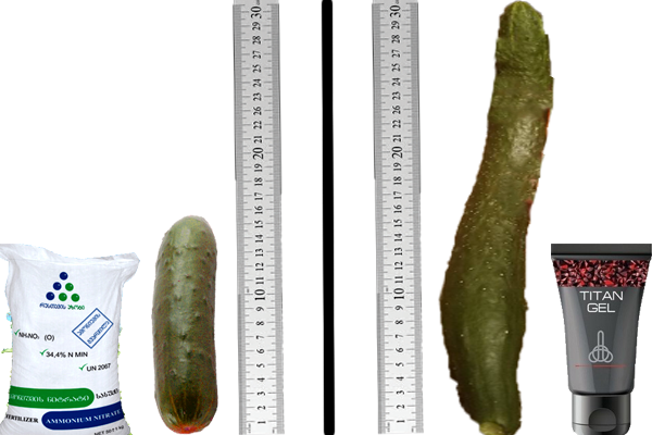 PJiWYi3ViJBo.png