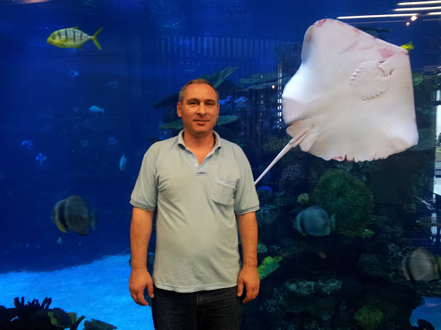 20140804_113315.jpg