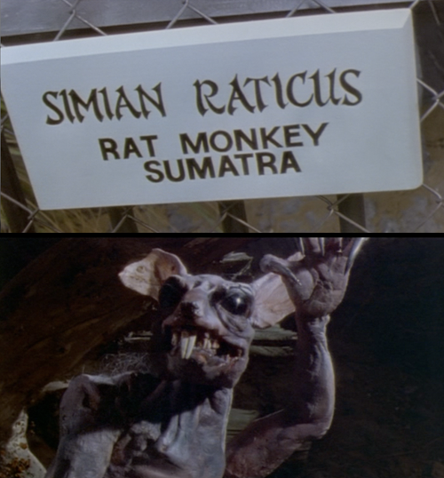 Simian_Raticus.png