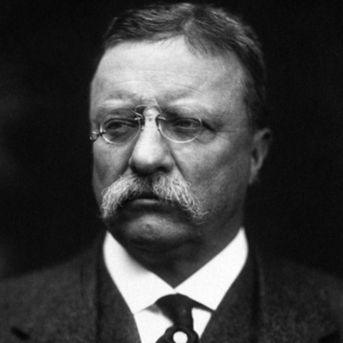 theodore_roosevelt_9463424_1_402.jpg
