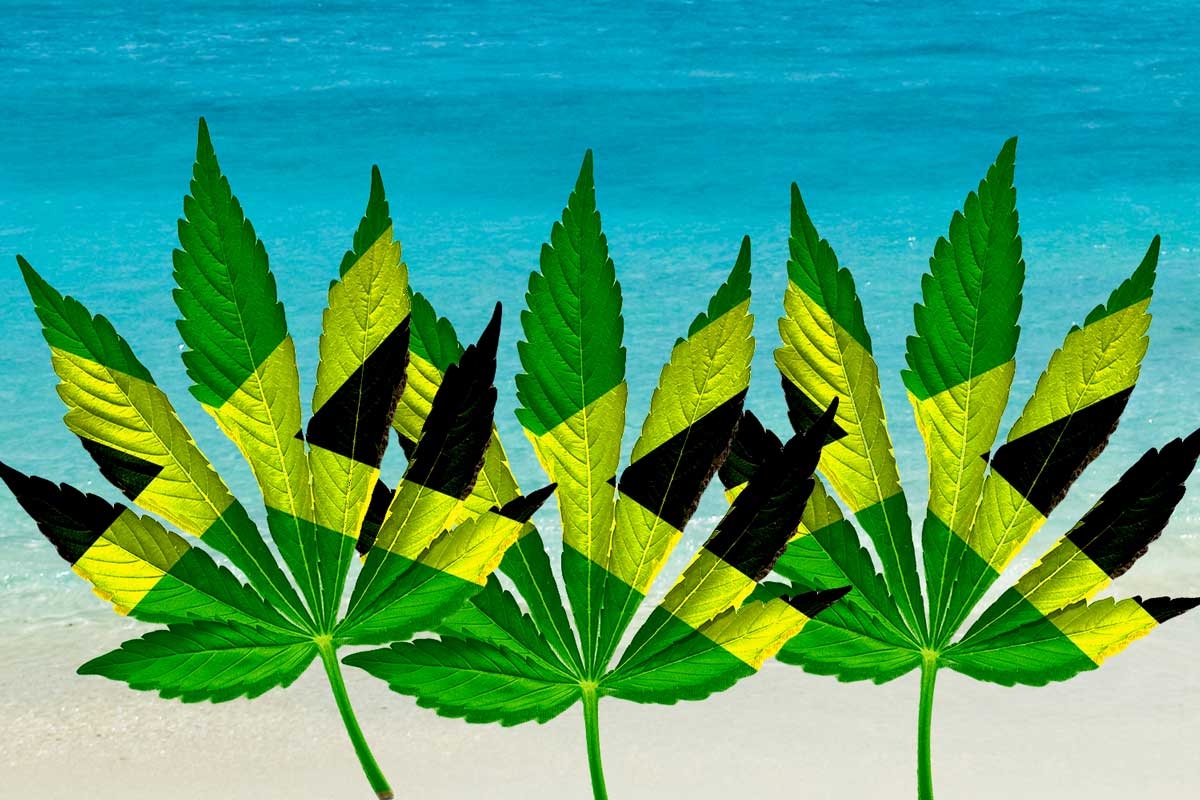 marijuana_leaf_composite.jpg