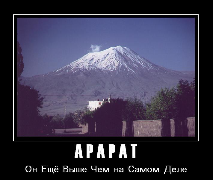 Capture3.jpg
