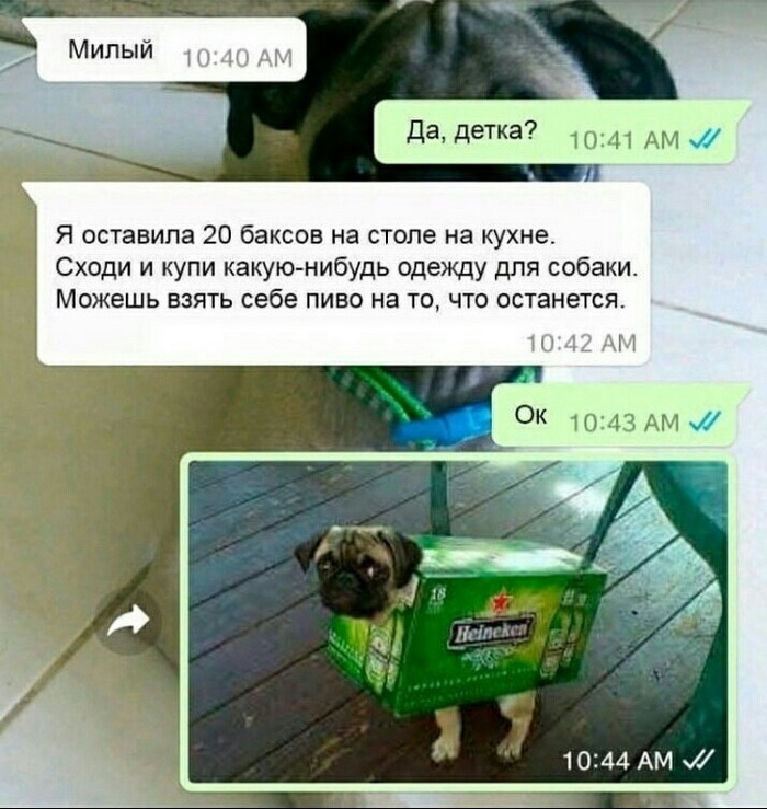 11938299.jpg