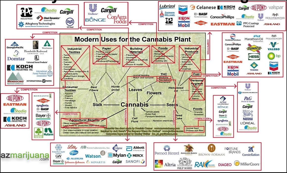 Why_Cannabis_is_Still_Illegal1.jpg