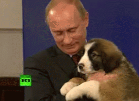 putin.gif