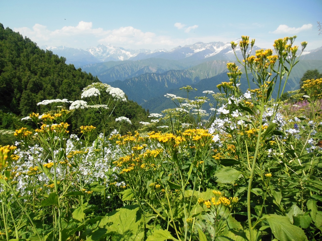 DSCN3361.JPG