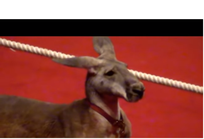 Untitled.png