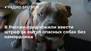 images.jpg