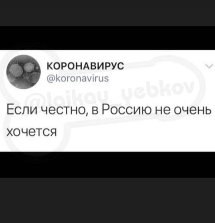 04AF6089_9B68_4EB9_936A_C11D8025EC67.jpeg
