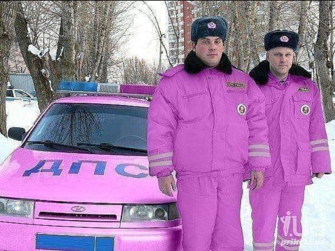 policielebi.jpg