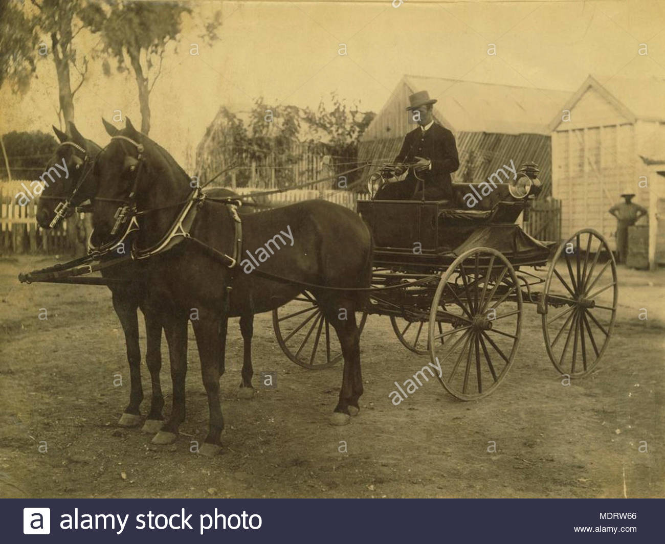 doctor_brown_with_his_beautiful_horses_and_phaeton_charters_towers_location_charters_towers_queensland_description_due_to_the_gold_mining_boom_between_1872_and_1899_charters_towers_operated_the_only_stock_exchange_ou.jpg