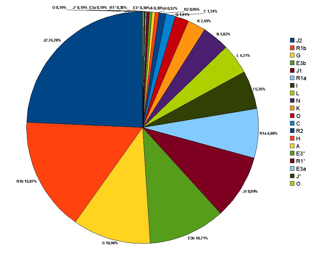 Turkey_Y_chromosome_in_20_haplogroups_.png