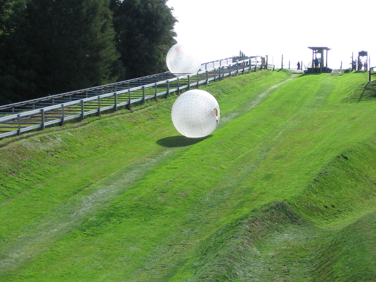 Zorbing.jpg