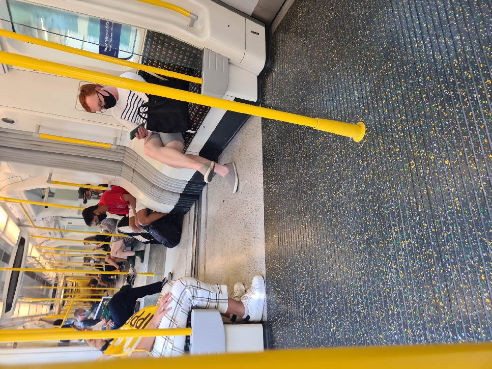 20200813_173643_resize_98.jpg