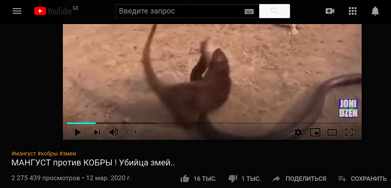 ____________.PNG