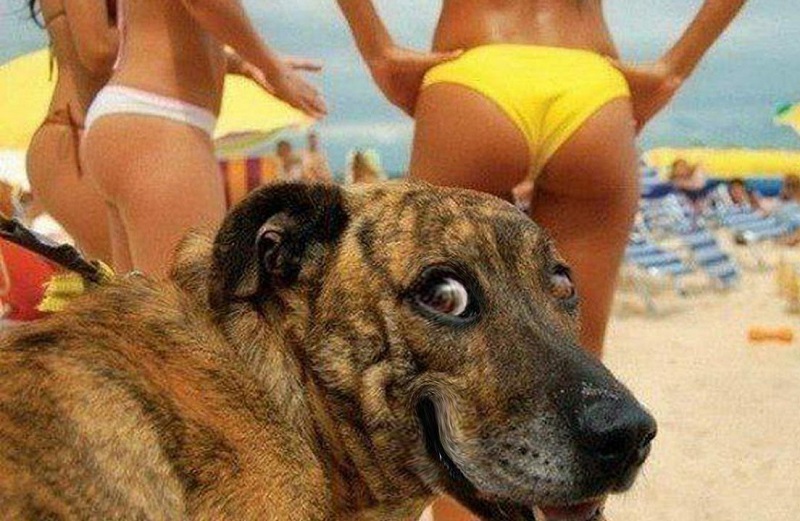 10fuunny_beach.jpg