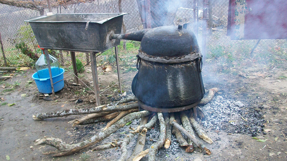 6.chacha1.jpg
