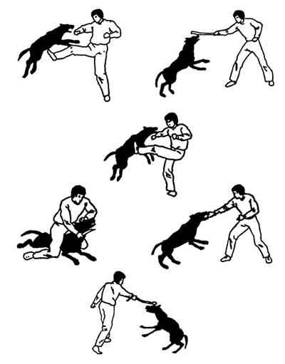 _________________3.png