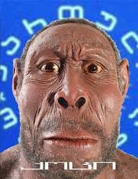 JziK6inKiJdbf.jpg